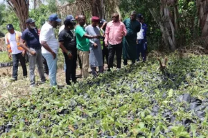 Read more about the article KWACReSAL Team Conducts Site Assessment at Lata Grazing Reserve to Advance Afforestation Efforts